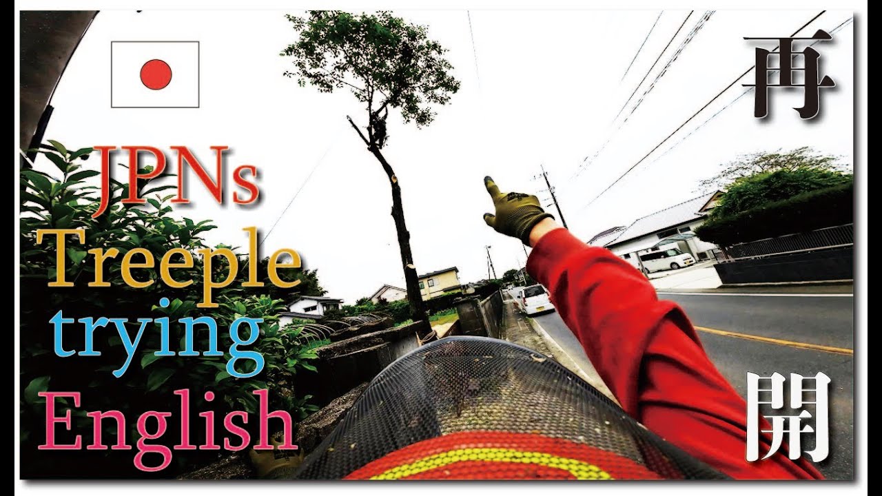 木こりによるチャンネル、再開。いきなり失敗。