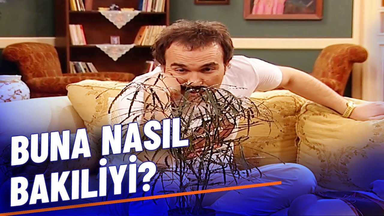 Benim favori bitkim🪴- Burhan Altıntop