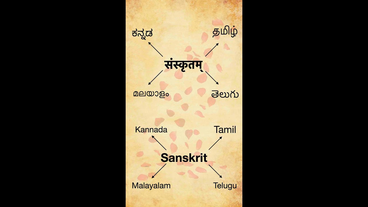 Episode 1 Similar or Same in Sanskrit andTamil! ஸம்ஸ்க்ருதத்துக்கும் தமிழுக்கும் உள்ள ஒற்றுமைகள்