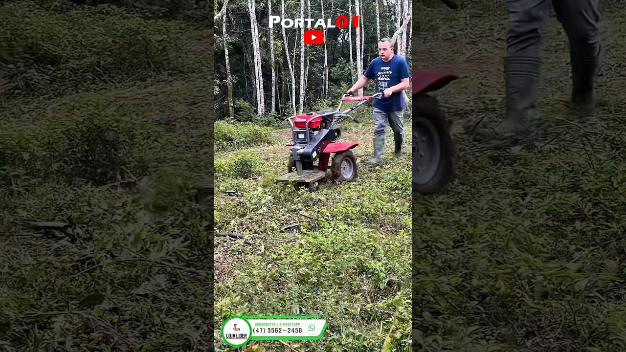 Motocultivador 