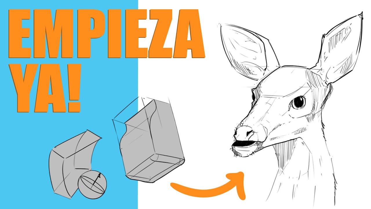 Esta técnica te permite dibujar lo que quieras!