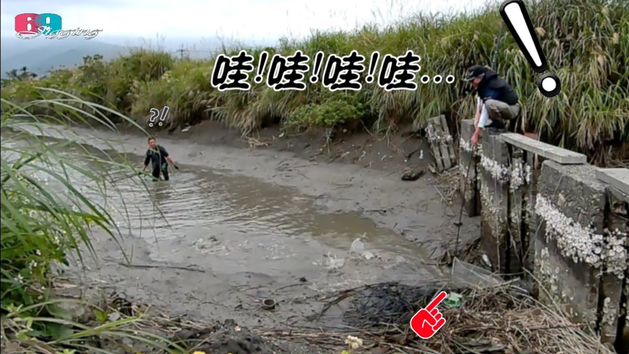 這條水溝超有貨!!滿滿的魚蝦蟹..抽乾水溝圍魚撈魚抓蝦玩過嗎?  2026/03/ 台灣69J釣魚俱樂部(69J Fishing Club)