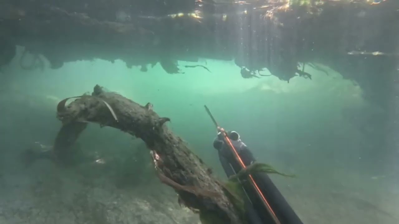 Pesca