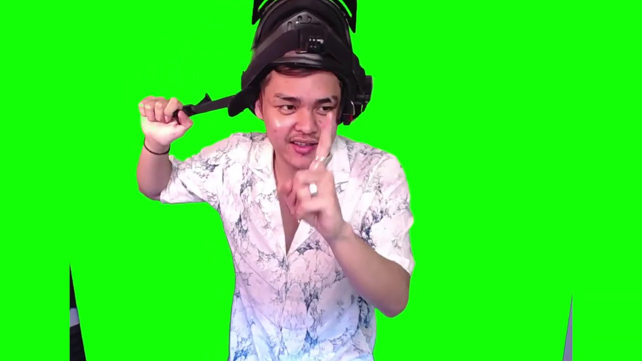 Green Screen ERPAN1140 #1