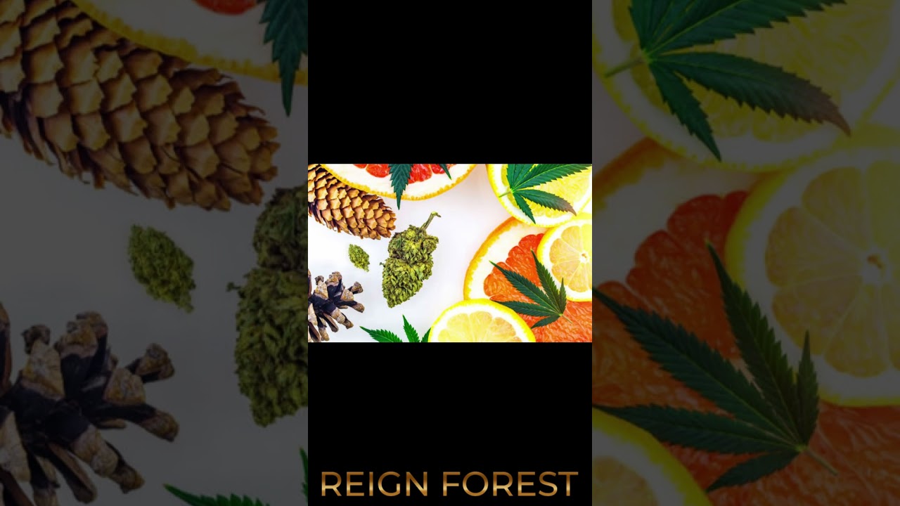 Cannabinoids and Terpenes 3