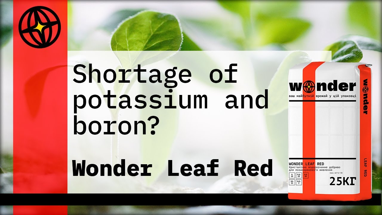Wonder Leaf Red - complex foliar fertilizer for plant nutrition!