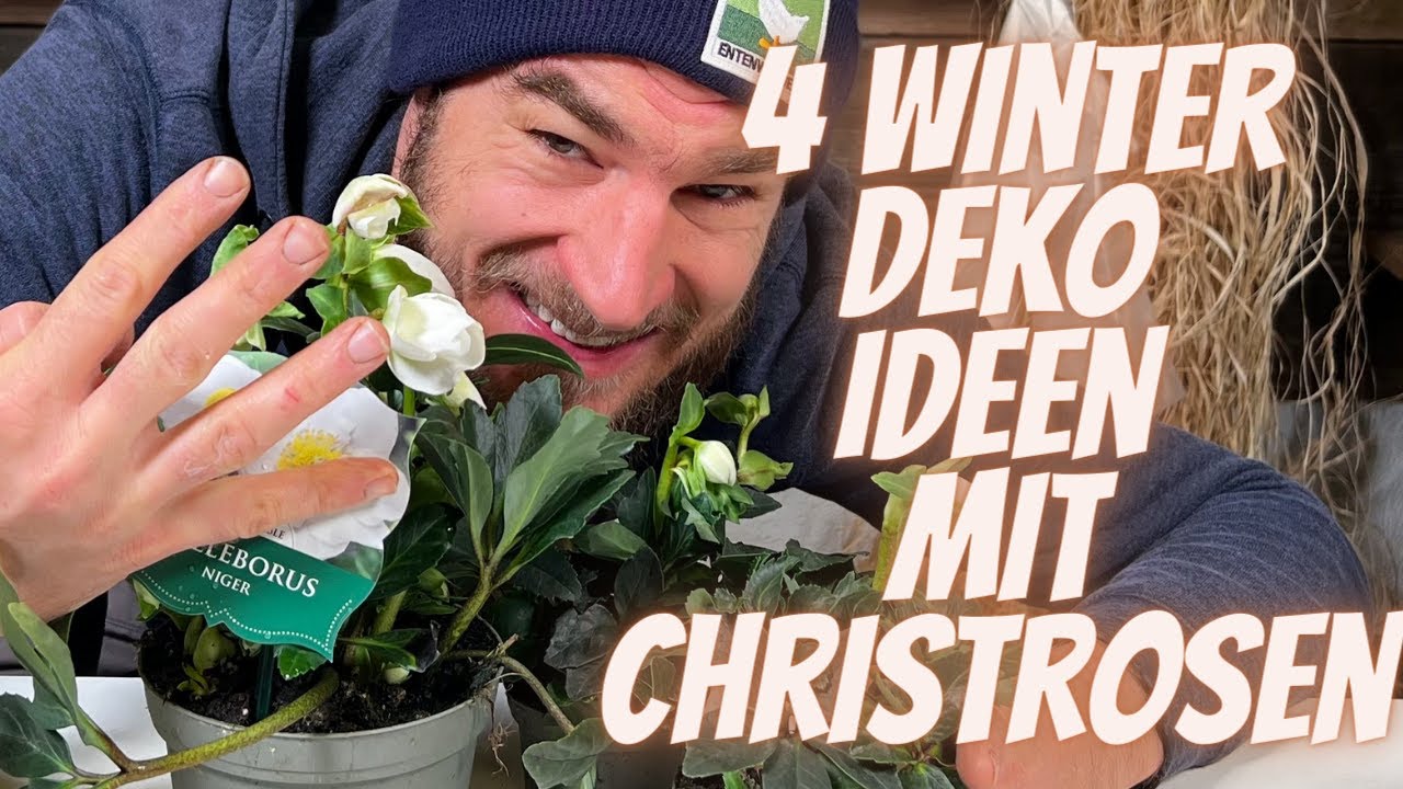 Winter Deko Ideen zum selber machen - 4 Deko Inspirationen mit Christrosenpflanzen erklärt vom Profi