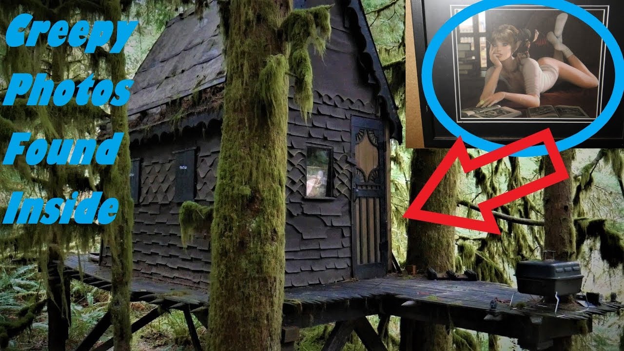 Convicted Felon Daniel Wood's Abandoned Gingerbread Hideout Cabin