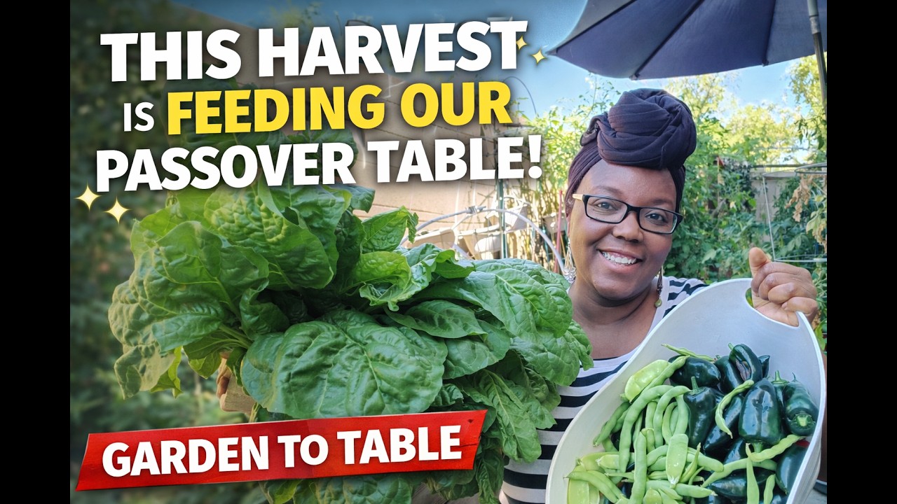 This Harvest Is Feeding Our Passover Table