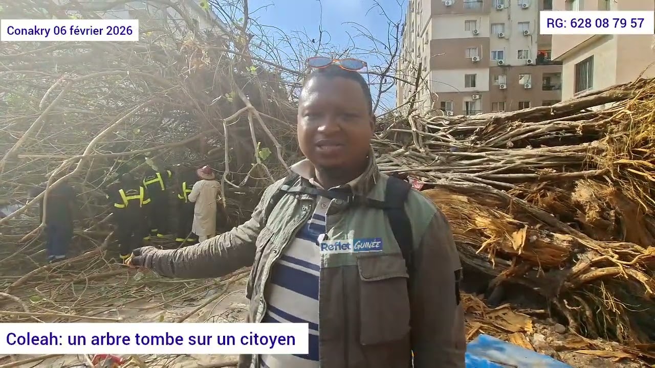 Coleah: un arbre tu€ un jeune détenteur d'un kiosque Guinée Games