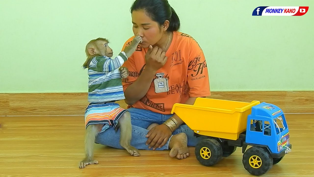 MONKEY KAKOObedient Monkey | Lovely Mom Train Adorable Kako Collect Toys Put In Truck