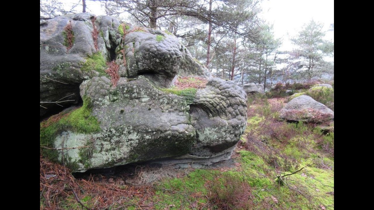 Incredible stone forest of Fontainebleau