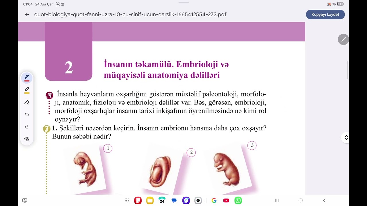 İnsanın təkamülü.