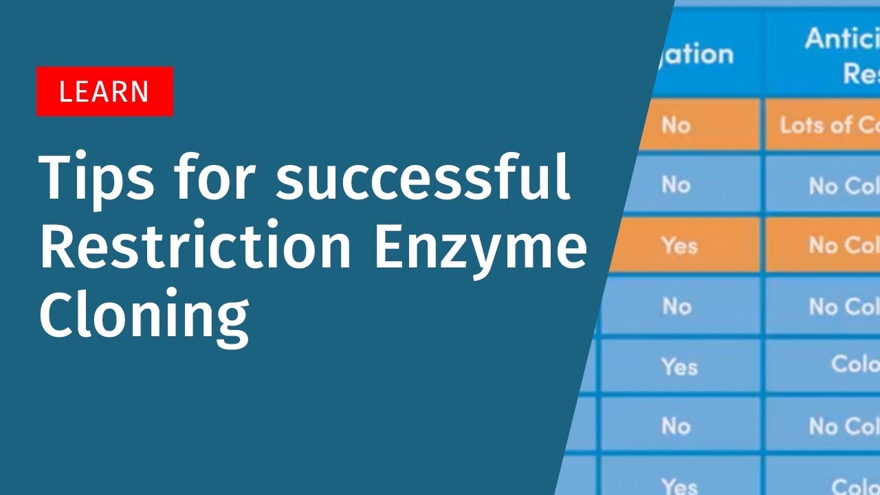 Tips for Successful Restriction Enzyme Cloning