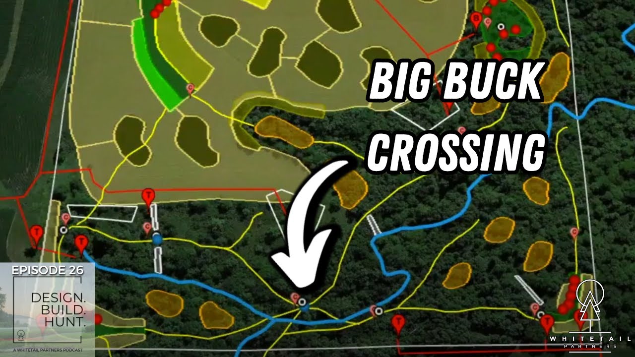 Episode 26 - 40 Acre Big Buck Mecca! Whitetail Habitat Design Breakdown