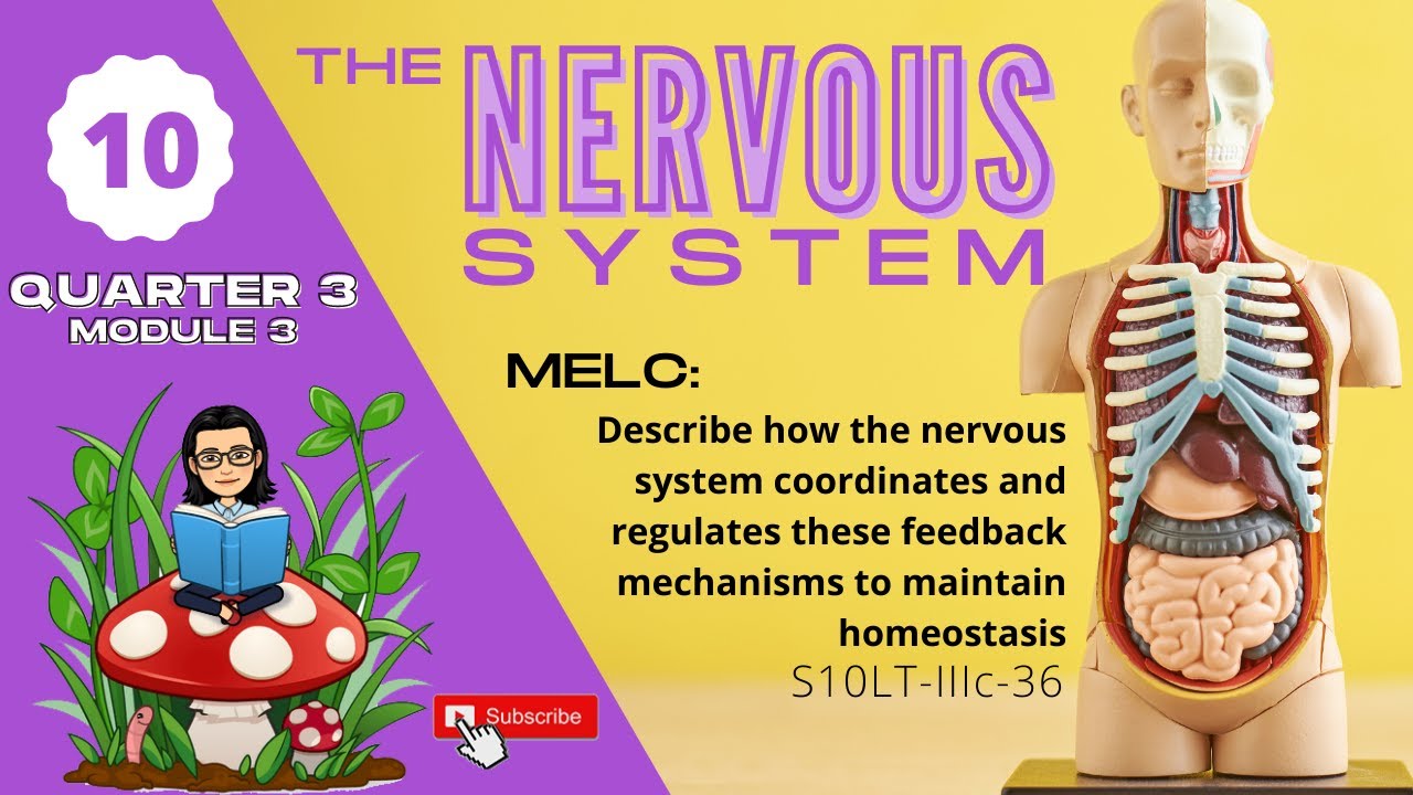 Grade 10 SCIENCE | Quarter 3 Module 3 | The Power and Control of the Nervous System