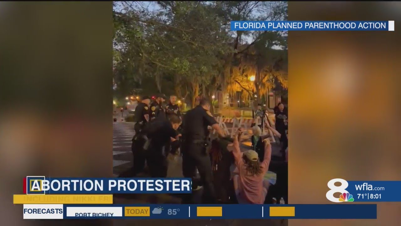 Prominent Democratic leaders arrested during protest of 6-week abortion ban bill