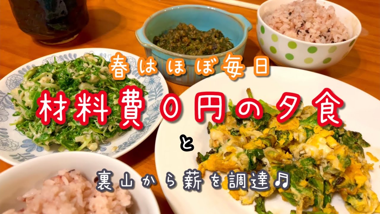【材料費０円】そこら辺の草で夕食/裏山から薪を調達