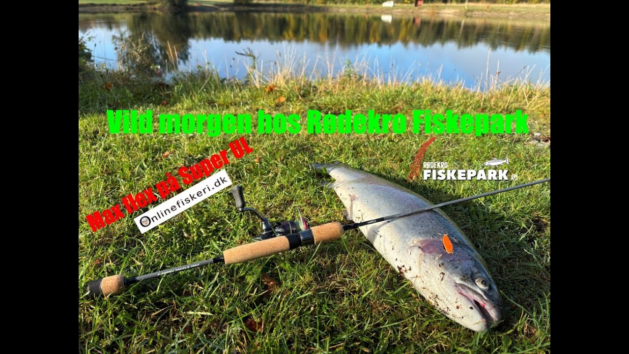 Sjov med Super UL ved Rødekro Fiskepark 0 - 2,5gram