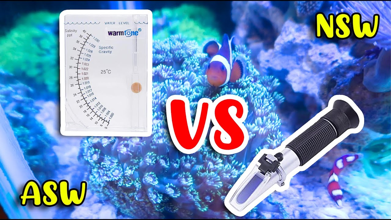 Perbandingan Alat  Salinity Refractometer (Mengukur Kadar Garam) Aquarium Air Laut ASW dan NSW