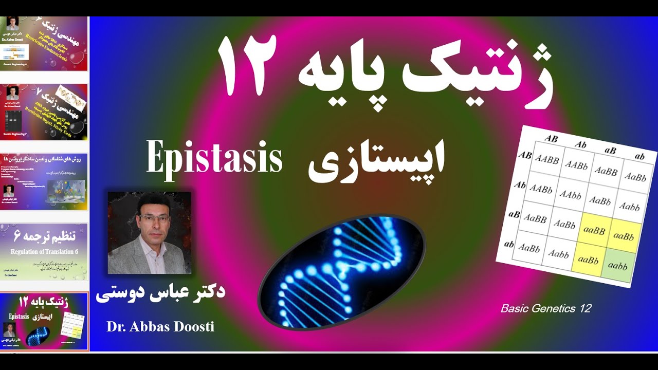اپیستازی یا اثر متقابل ژن ها بر یکدیگر/Epistasis/Genetics