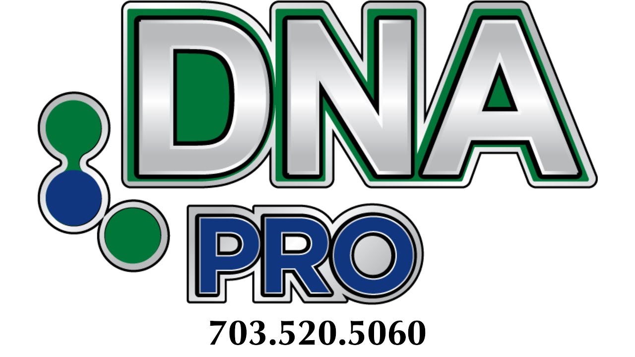 Springfield, Virginia - Carpet Cleaning