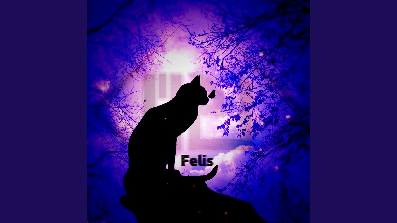 Felis