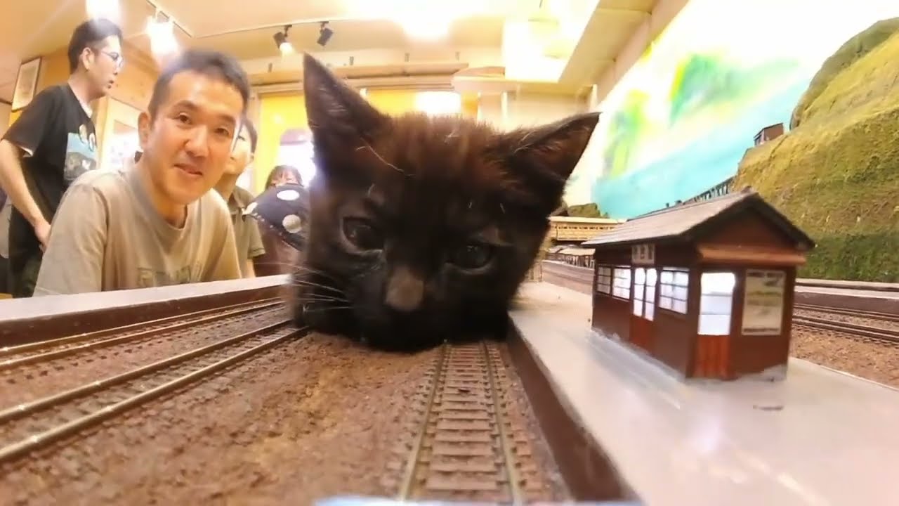 Here is a video from when Monet was very active! Now he's all happy and ready for his new family!