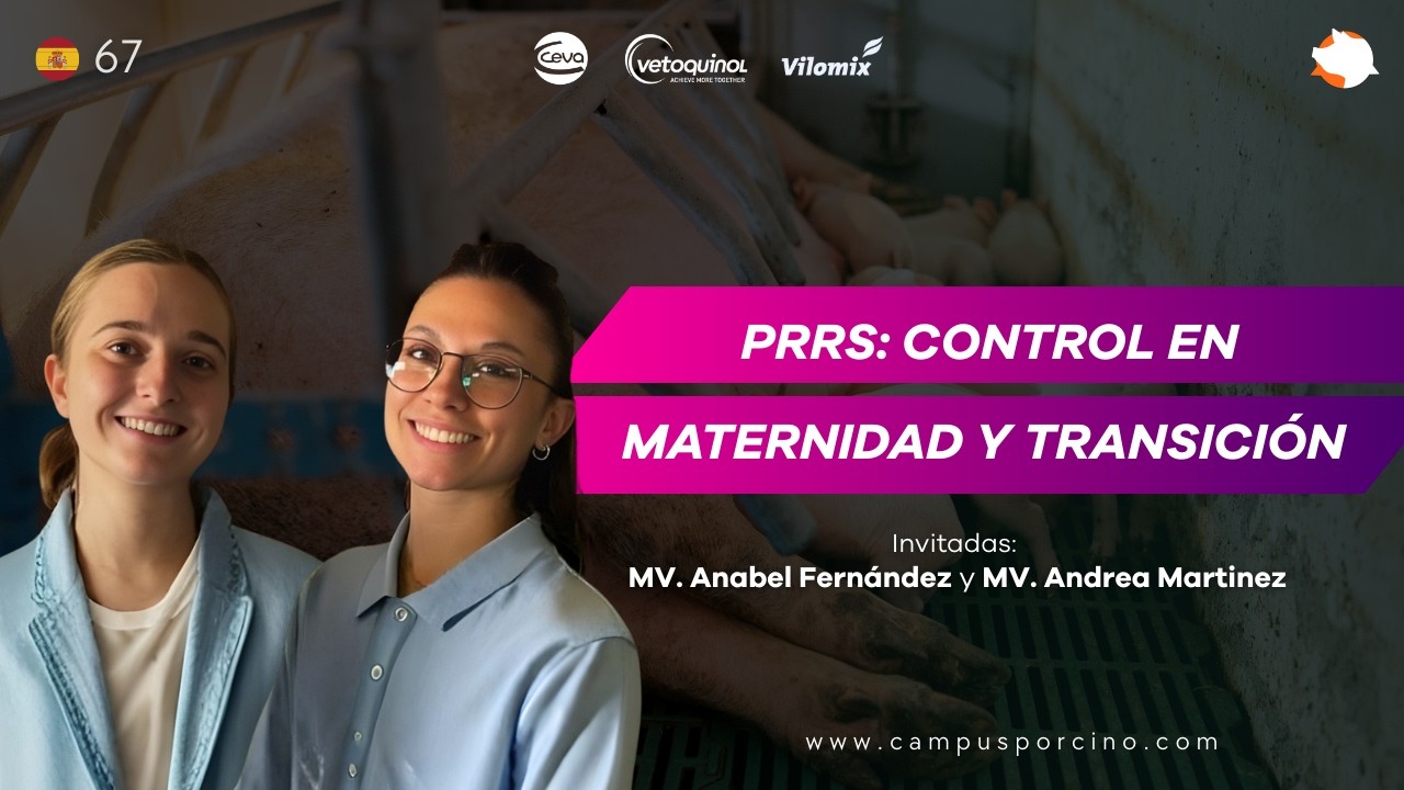 #67 - PRRS y sanidad: Control de maternidad y transición - MV. Anabel Fernández, MV. Andrea Martinez