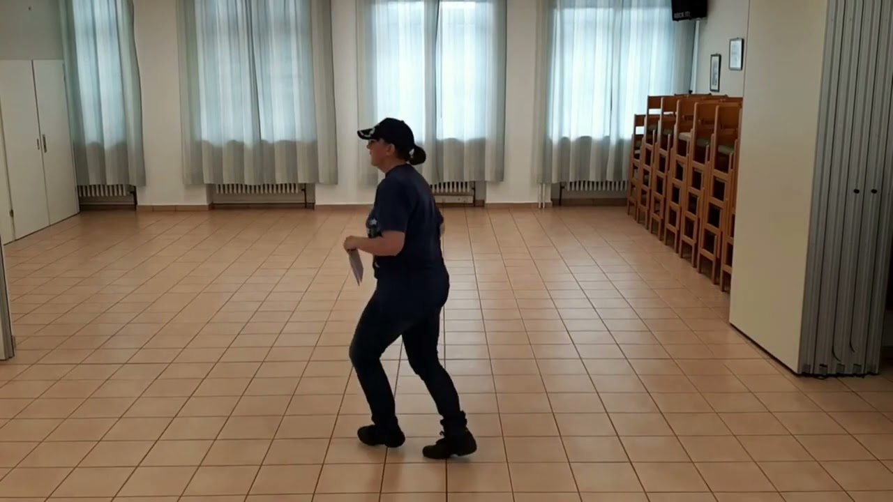 An Underdog Lernvideo Teach & Dance Line Dance Biene Teil 1