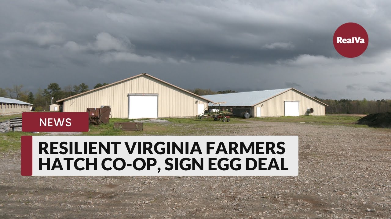 Resilient Virginia Farmers Hatch Co-op, Sign Egg Deal