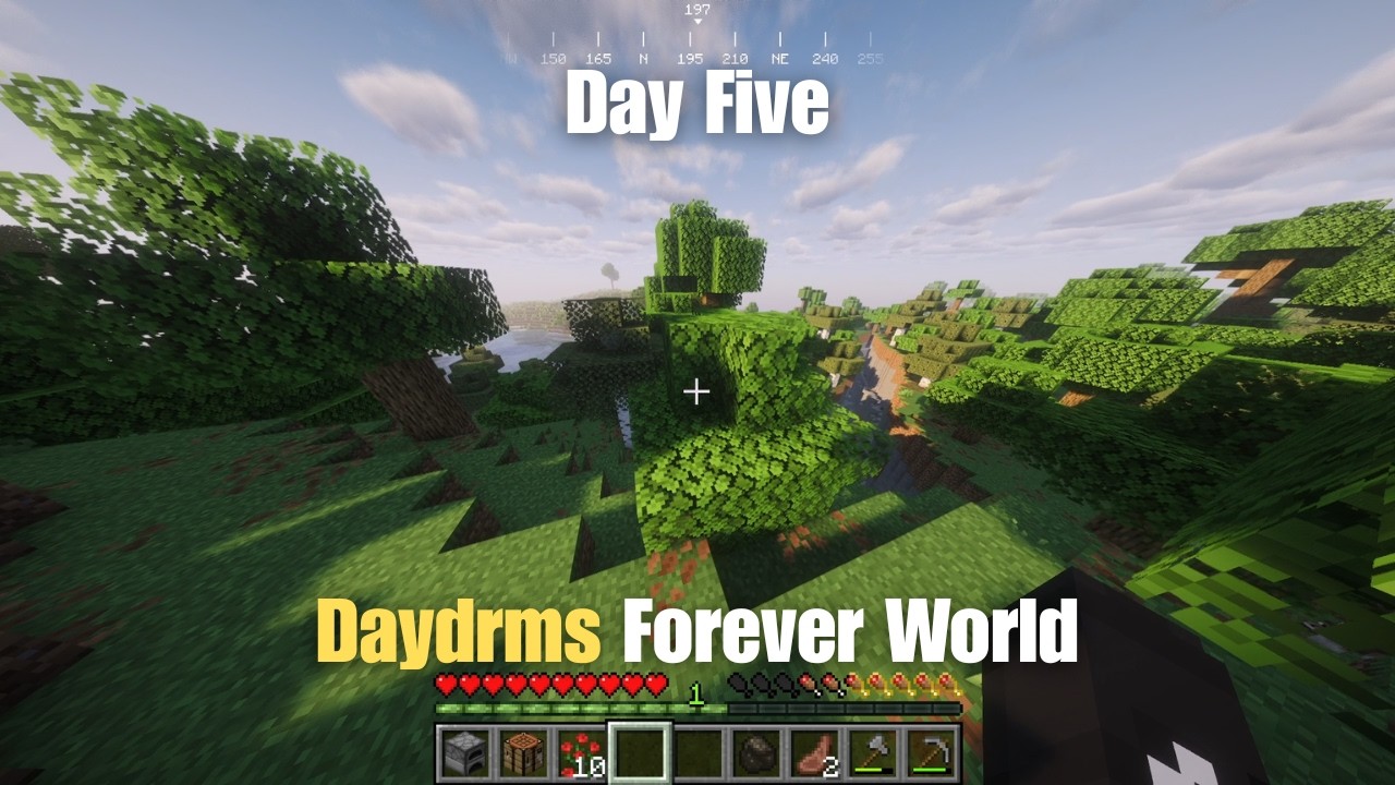 Forever World But With a Twist Day 5: BIG News, Slow Day