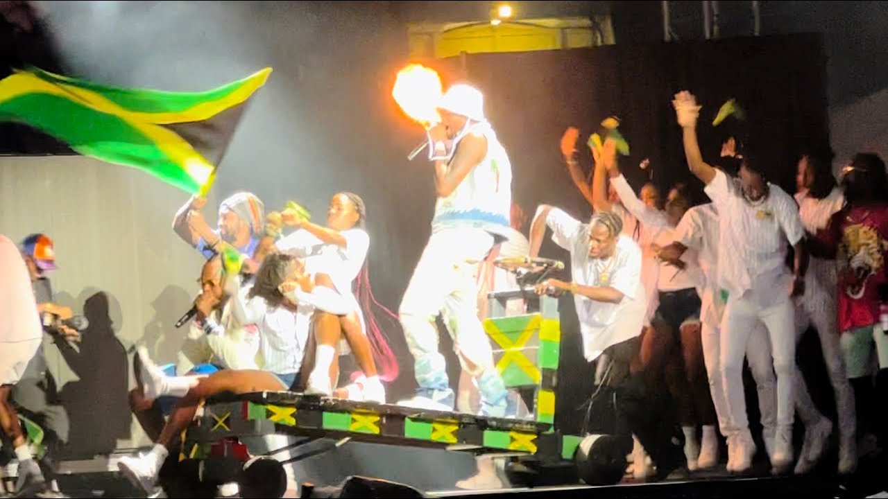 Ding Dong Roll In Pon A Cart At Chris Brown & Friends, Best Performance Hands Down, Bzr Weekend