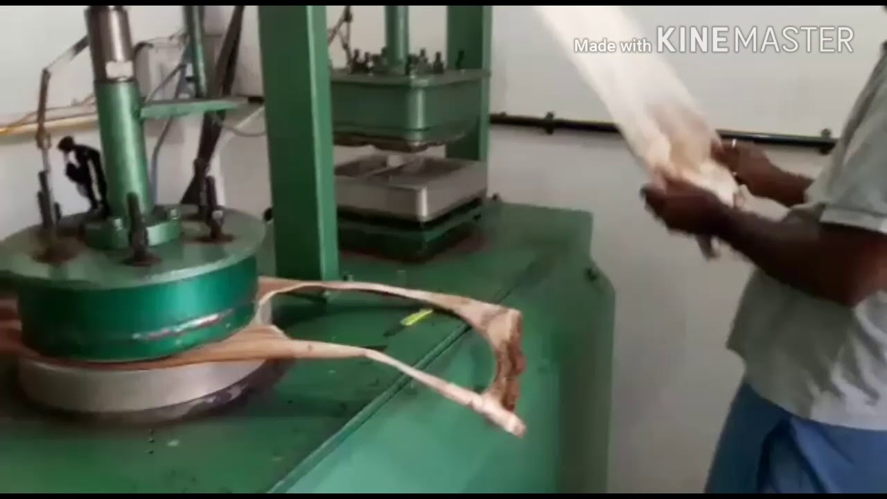 Areca Palm Leaf Plate Making