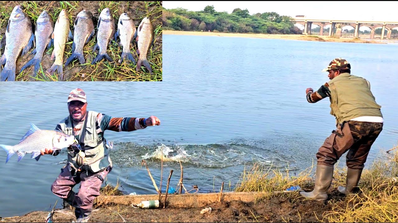 Amazing Fishing Video || Big Catla & mergal Fish Catching || Feeder Hook Fishing