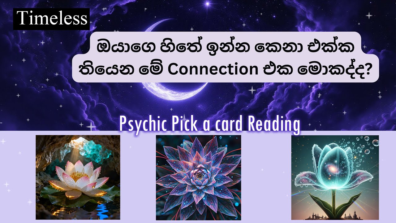 ඔයාගෙ හිතේ ඉන්න කෙනා Twinflame ද Soulmate ද ?  මේ Connection එක මොකද්ද?🦋| Psychic Reading💜🧿