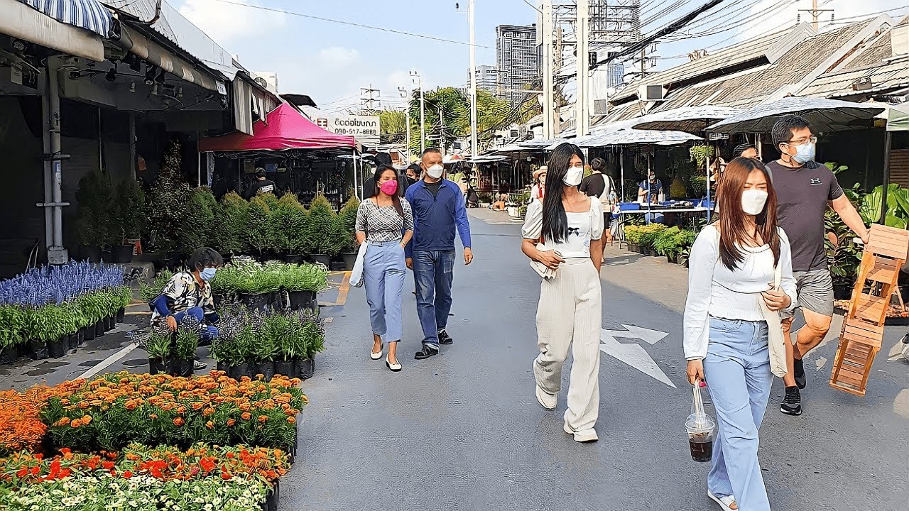 Walking in Chatuchak Plant Market Bangkok 🇹🇭 Thailand 4K