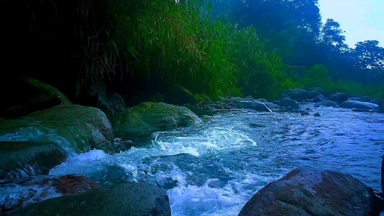 🌊 Deep Nature River ASMR Sounds for Deep Sleep, Relaxation & Stress Relief