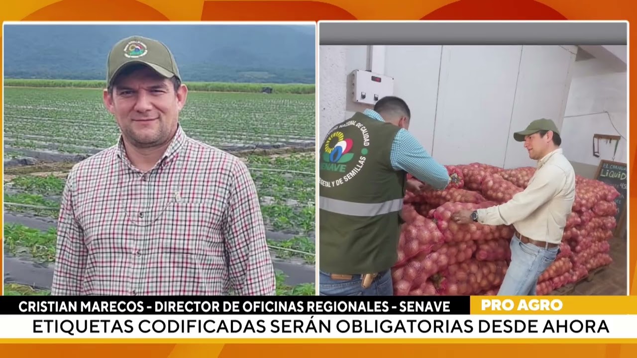 Etiquetas codificadas serán obligatorias desde ahora