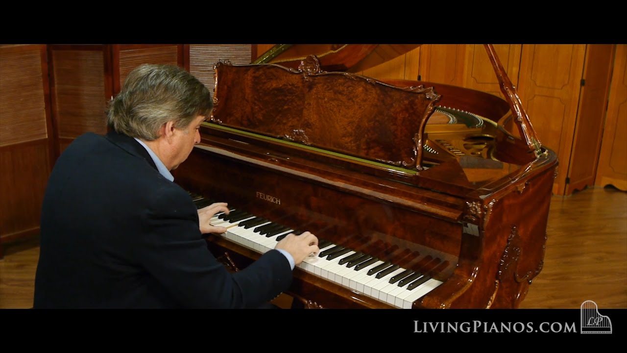 Rare Feurich Art-Case Piano: Handmade in Germany Review