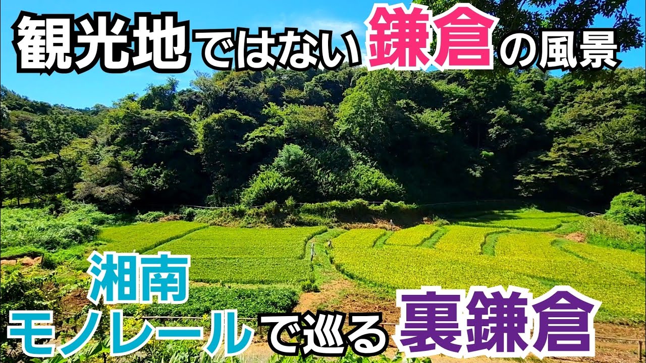 【観光地ではない鎌倉】湘南モノレールで裏鎌倉巡り！