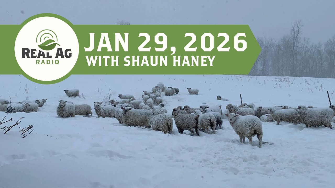 RealAg Radio: Winter livestock challenges, ROI on inputs, and the value of farm shows, Jan 29, 2026