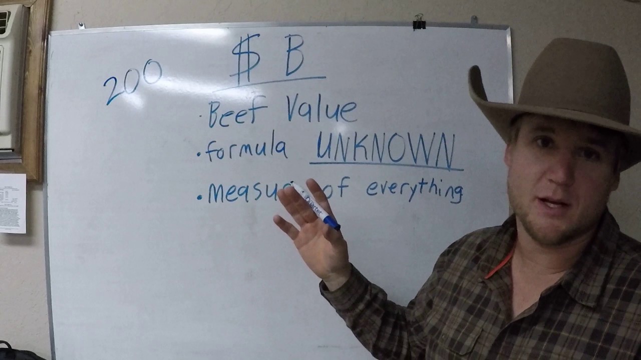 Angus Power Rankings - EPD University - $Value