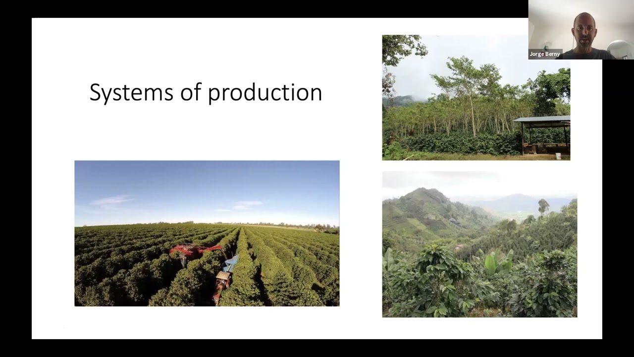 Dr  Jorge Berny: Coffee breeding from a global perspective