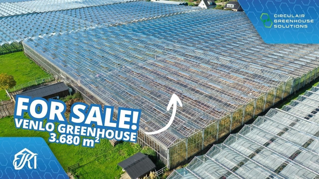 FOR SALE: Venlo greenhouse 3.680 m²