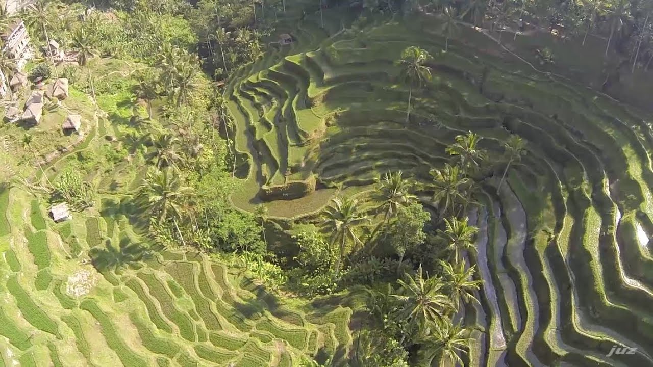 FPV - balinese