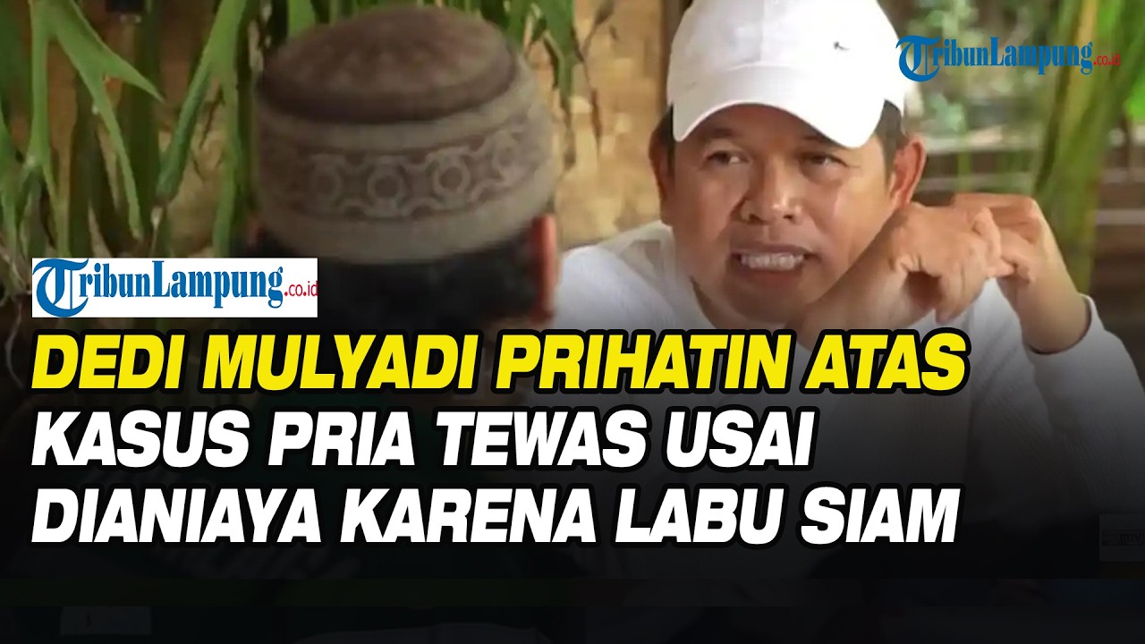 Dedi Mulyadi Prihatin atas Kasus Pria Tewas Usai Dianiaya karena Labu Siam
