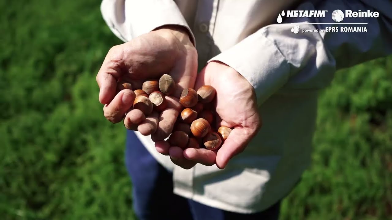 Producție cu 50% mai mare la culturile horticole în ferma Enache Morărit
