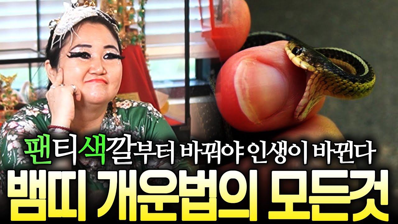 [뱀띠 개운법] 인생역전 되는 최고의 개운법을 알려드립니다! 부자가 되고 싶다면 지금 당장 시작하세요! 팬티색깔부터 바꾸면 인생이 바뀐다!  (2025년 뱀띠 운세)