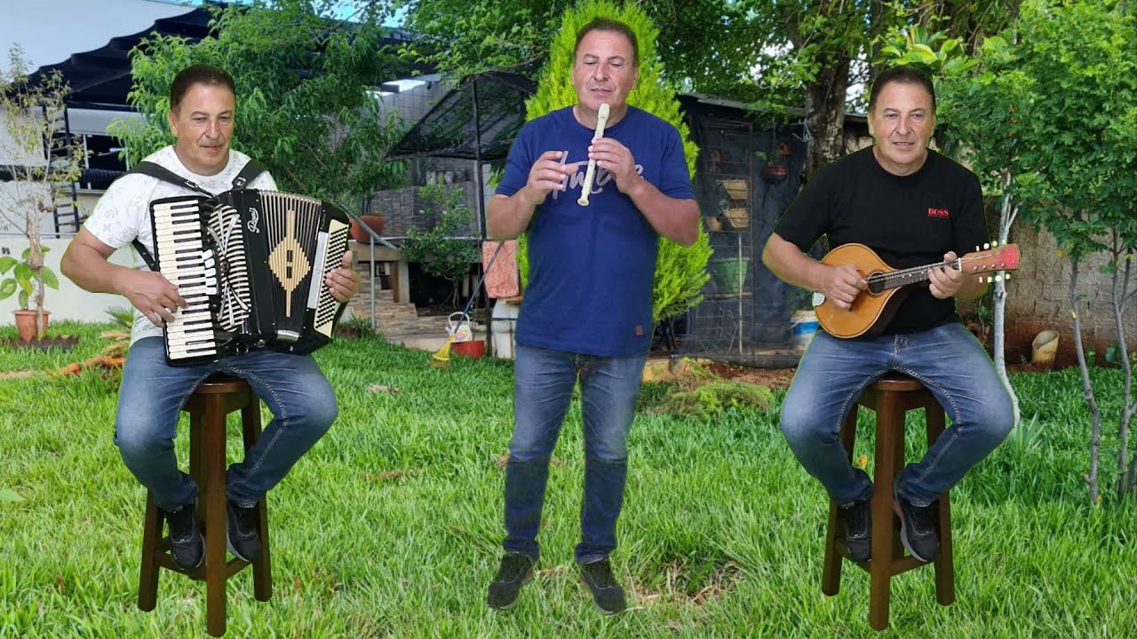 Divino Companheiro - Instrumental, Sanfona, Flauta E Bandolim